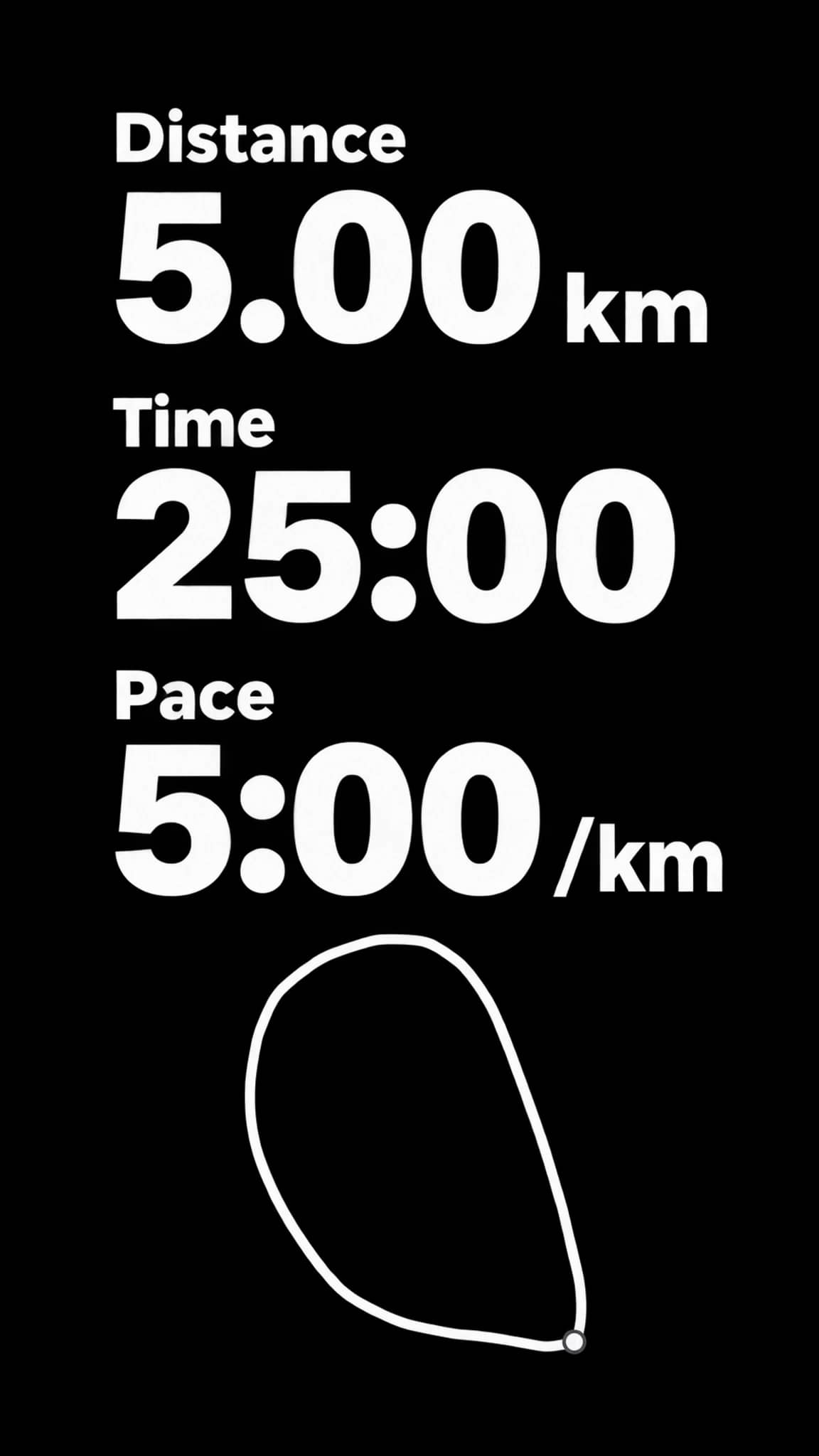 The run's route and stats as a transparent overlay